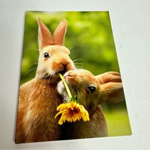 4 Avanti Greeting cards - bunny rabbits eating flowers
Holiday: Easter